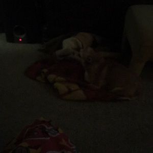 Meet your Posher, Kathy